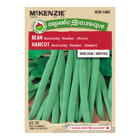 Organic Bean Kentucky Wonder (P) - McKenzie Seeds