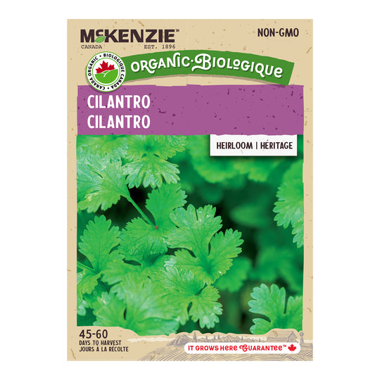 Organic Cilantro, Coriander - McKenzie Seeds