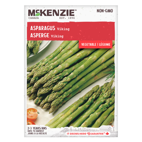 Asparagus Viking - McKenzie Seeds