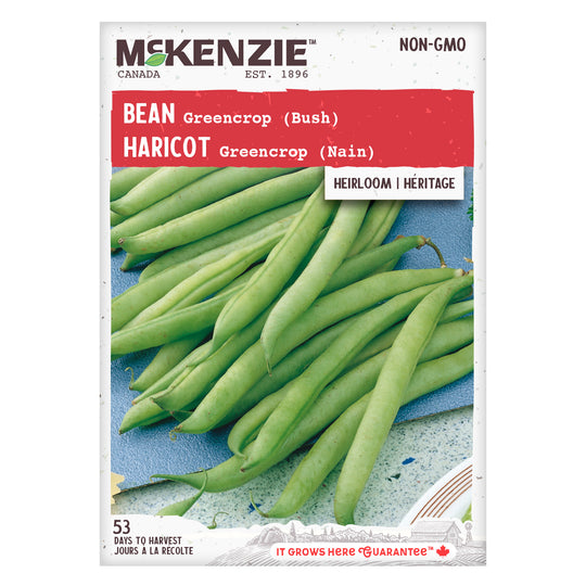 Bean Greencrop Bush - McKenzie Seeds