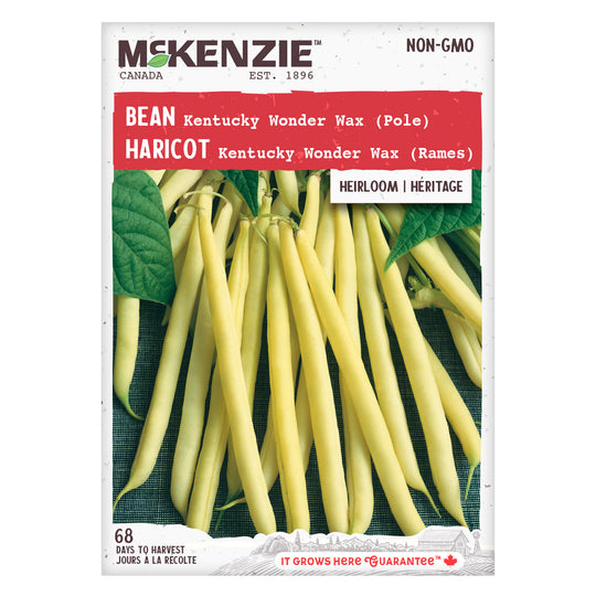 Bean Kentucky Wonder Wax (Pole) - McKenzie Seeds