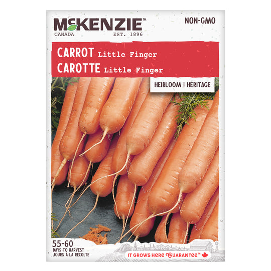 Carrot Little Finger - McKenzie Seeds