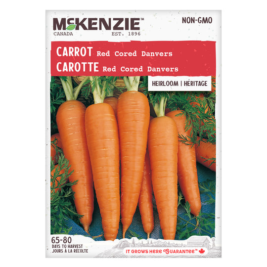 Carrot Red Cored Danvers - McKenzie Seeds