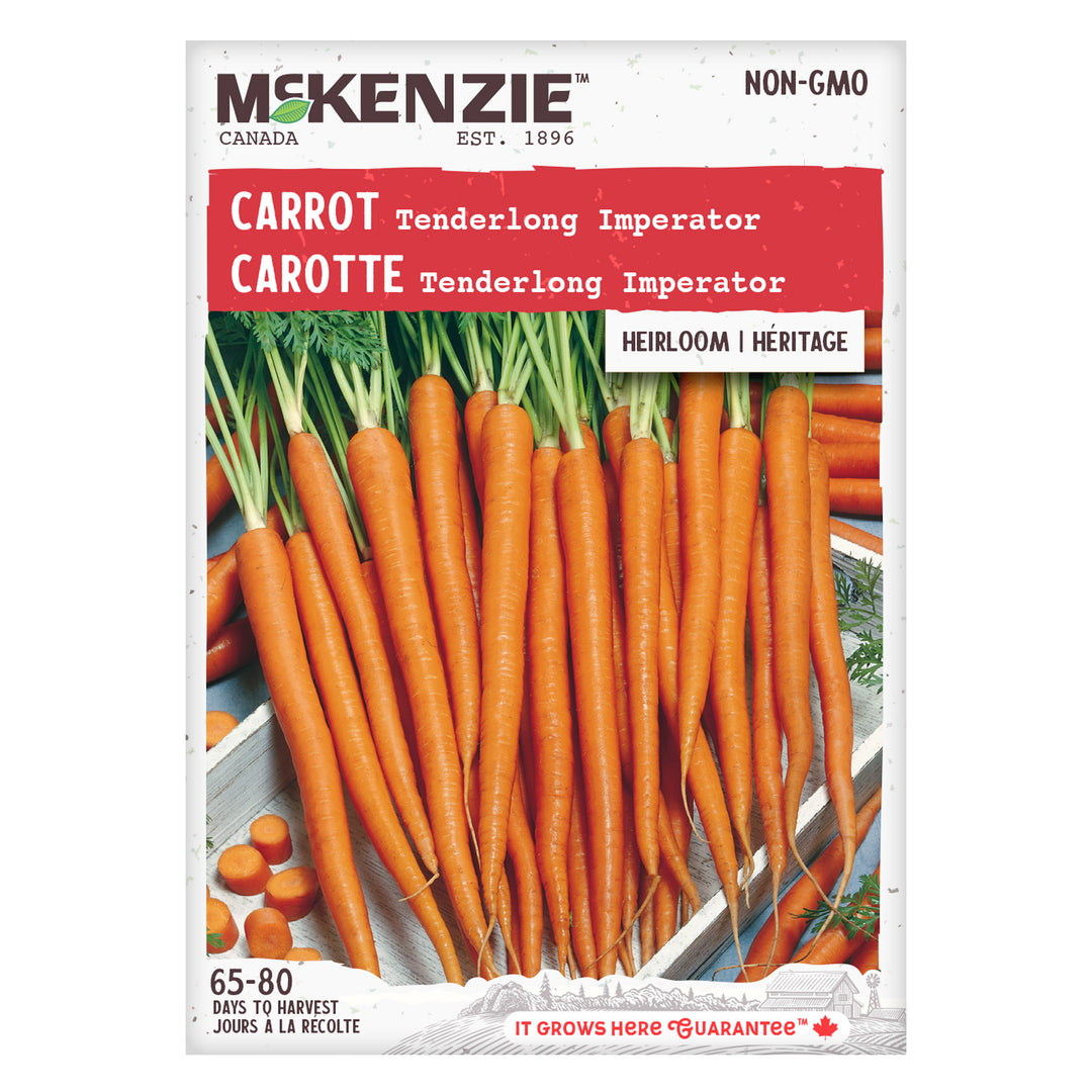 Carrot Tenderlong Imperator - McKenzie Seeds