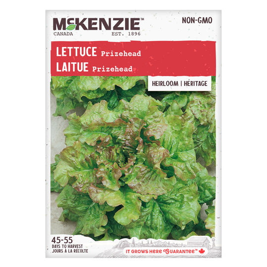 Lettuce Prizehead - McKenzie Seeds