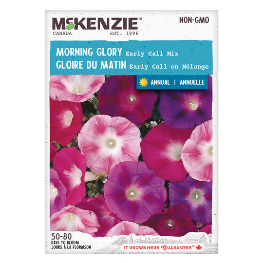 Morning Glory Early Call Mix - McKenzie Seeds