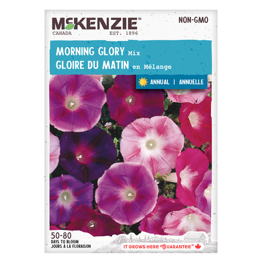 Morning Glory Mix - McKenzie Seeds