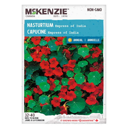 Nasturtium Empress of India - McKenzie Seeds