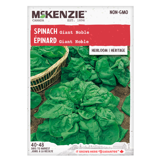 Spinach Giant Noble - McKenzie Seeds