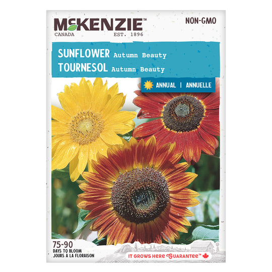 Sunflower Autumn Beauty - McKenzie Seeds