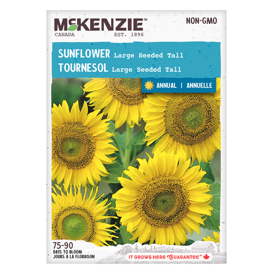 Sunflower Large Seeded Tall - McKenzie Seeds