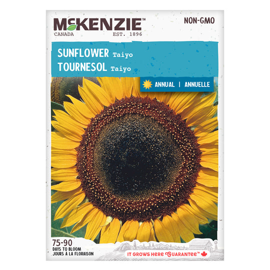 Sunflower Taiyo - McKenzie Seeds