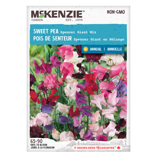 Sweet Pea Spencer Giant Mix - McKenzie Seeds