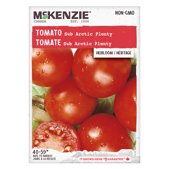 Tomato Sub Arctic Plenty - McKenzie Seeds