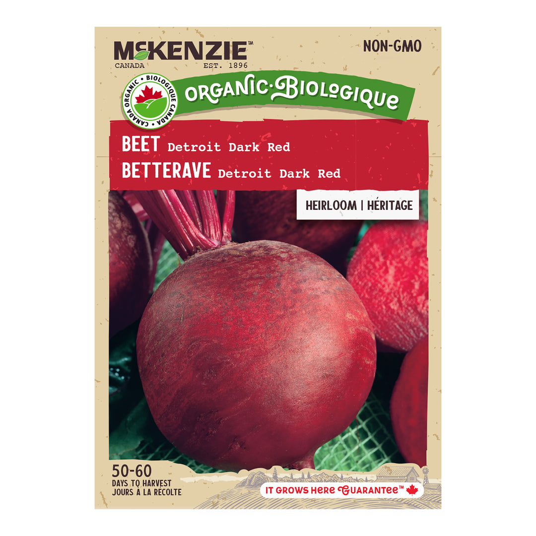 Organic Beet Detroit Dark Red - McKenzie Seeds