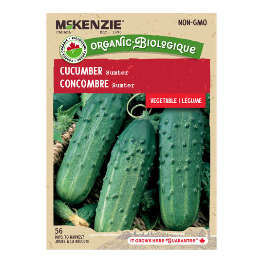 Organic Cucumber Sumter - McKenzie Seeds