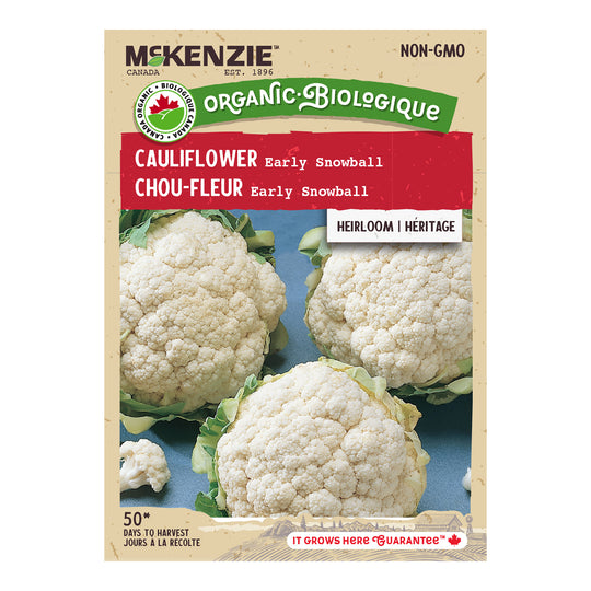 Organic Cauliflower Early Snowball - McKenzie Seeds