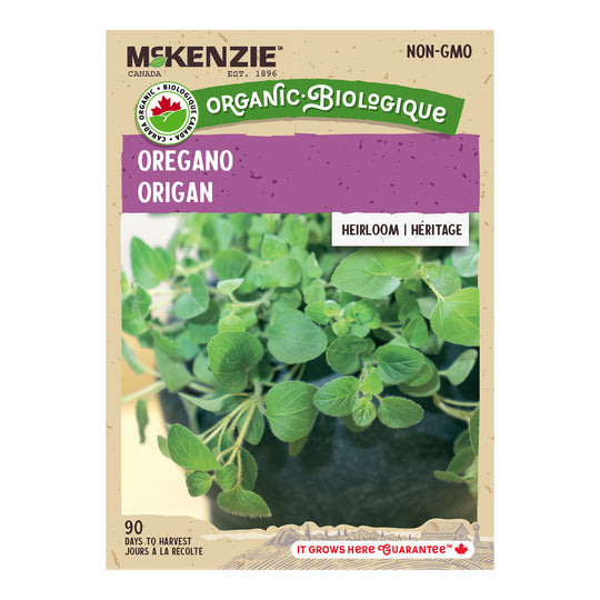 Organic Oregano - McKenzie Seeds