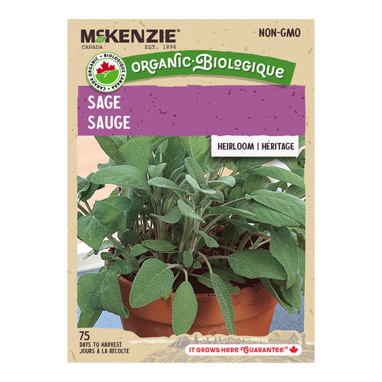 Organic Sage - McKenzie Seeds