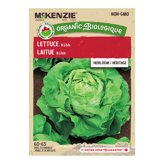 Organic Lettuce Bibb - McKenzie Seeds