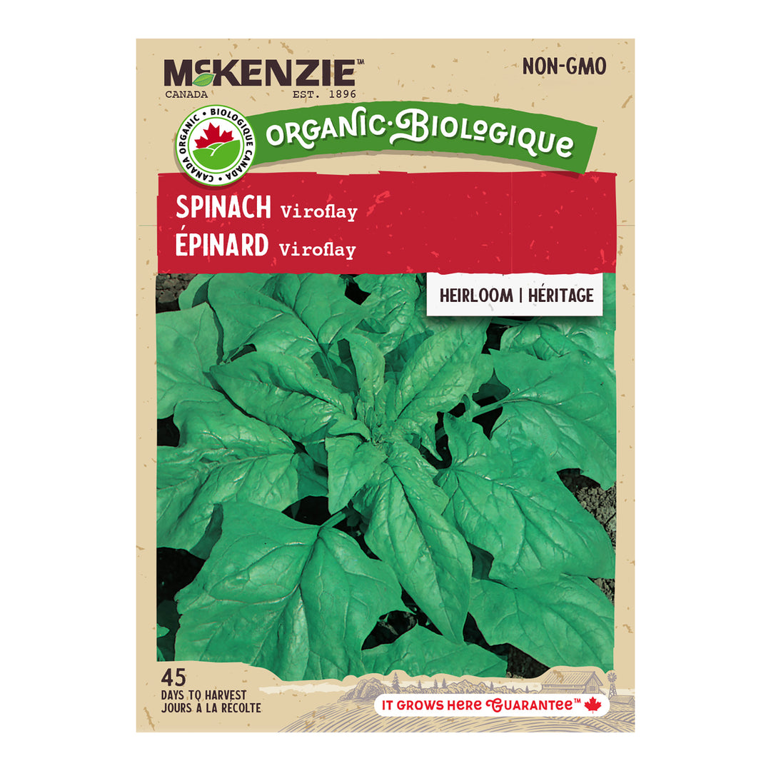 Organic Spinach Viroflay - McKenzie Seeds