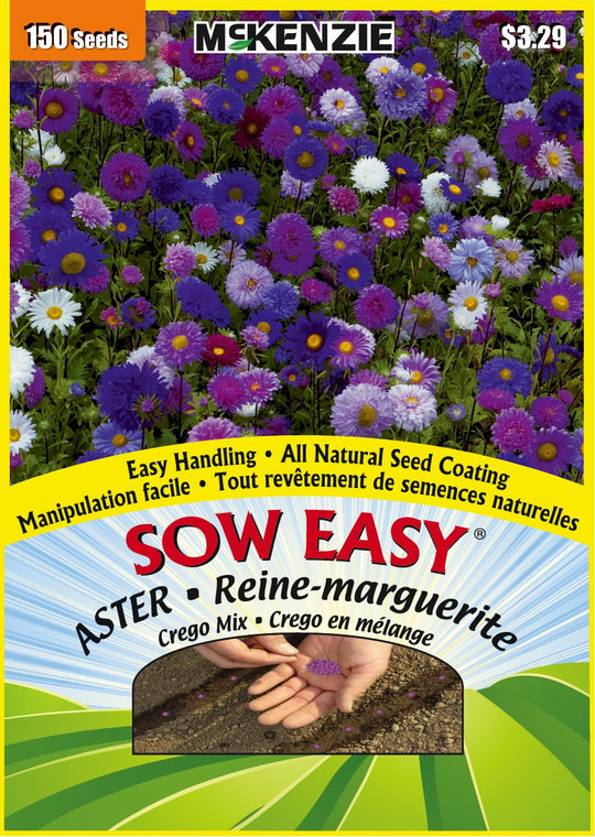 Aster Crego Mix, Sow Easy - McKenzie Seeds