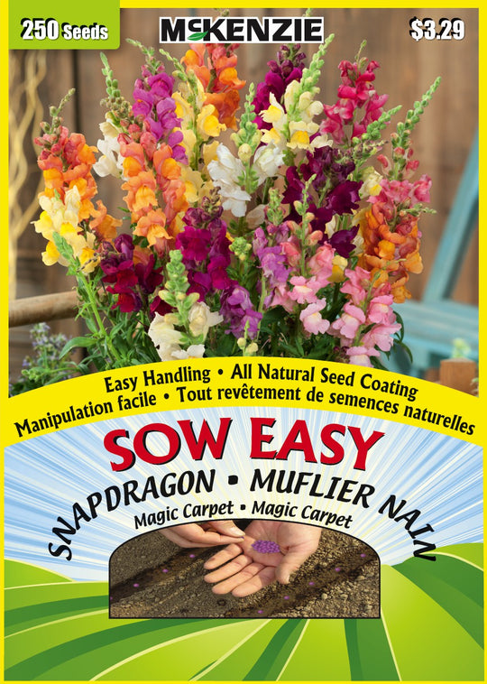 Snapdragon Magic Carpet, Sow Easy - McKenzie Seeds