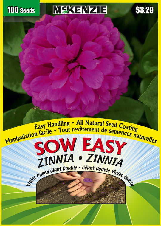 Zinnia Violet Queen Giant Double, Sow Easy - McKenzie Seeds