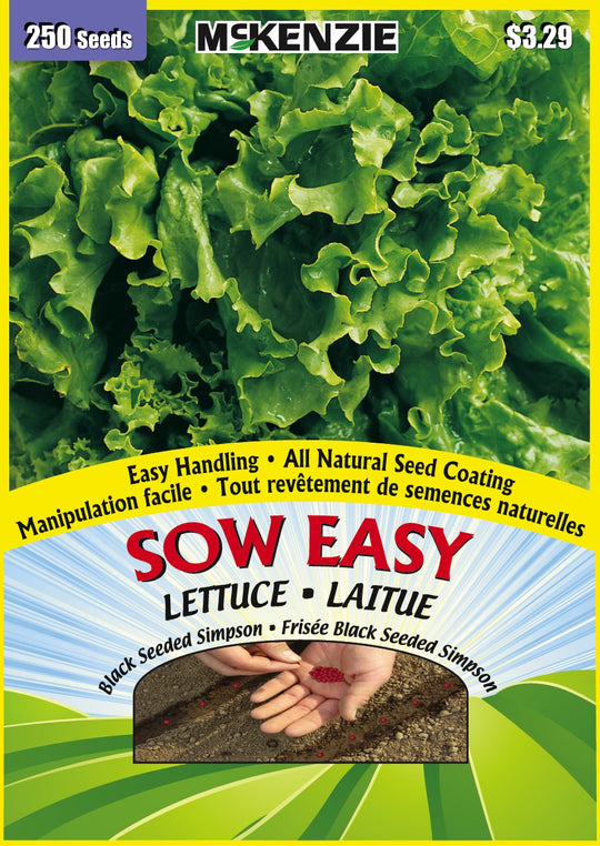 Lettuce Black Seeded Simpson, Sow Easy - McKenzie Seeds