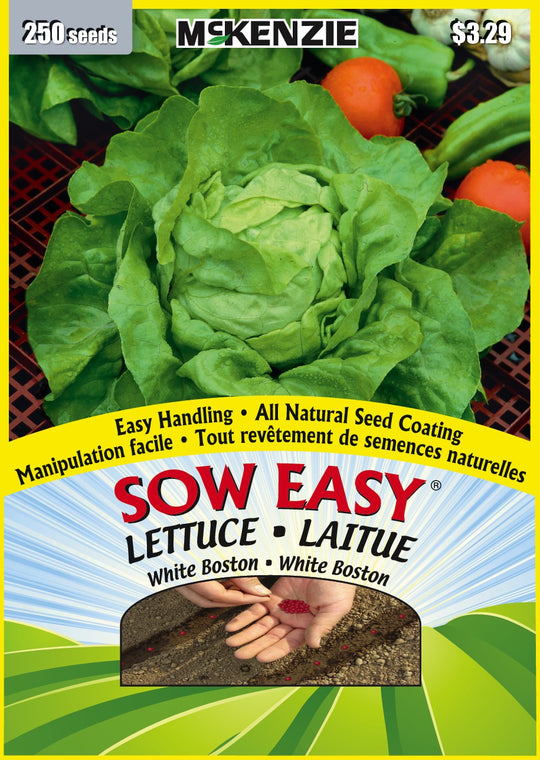 Lettuce White Boston, Sow Easy - McKenzie Seeds