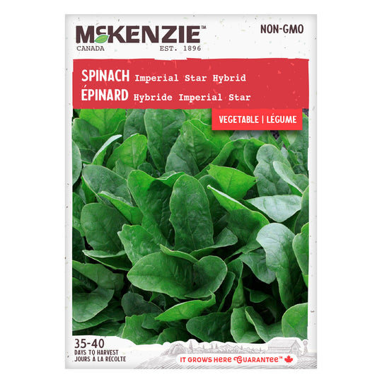 Spinach Imperial Star Hybrid - McKenzie Seeds