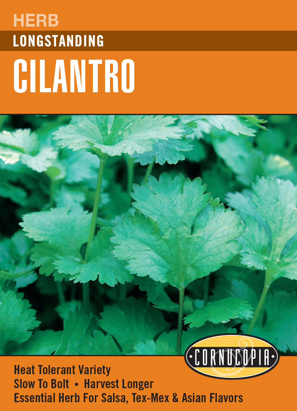 Cilantro Longstanding - Cornucopia Seeds