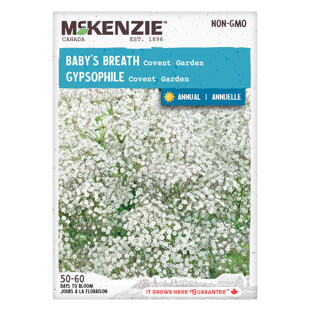 Baby's Breath - McKenzie Seeds