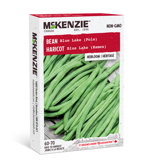 Bean Blue Lake Pole - McKenzie Seeds