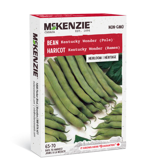 Bean Kentucky Wonder Pole - McKenzie Seeds