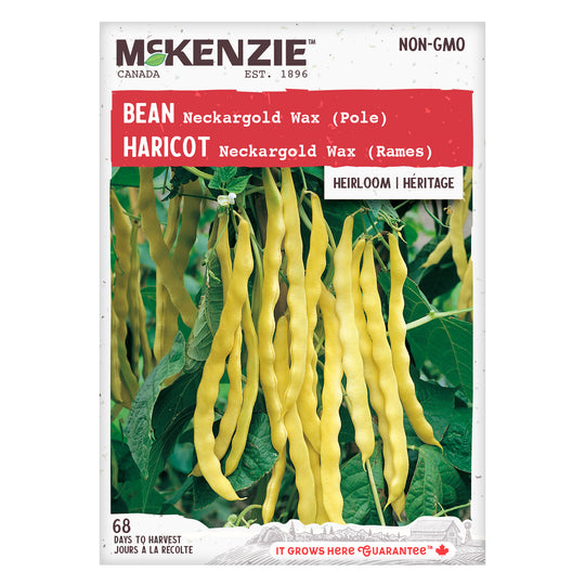 Bean Neckargold Wax - McKenzie Seeds