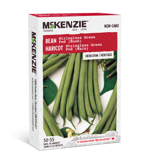 Bean Stringless Green Pod - McKenzie Seeds