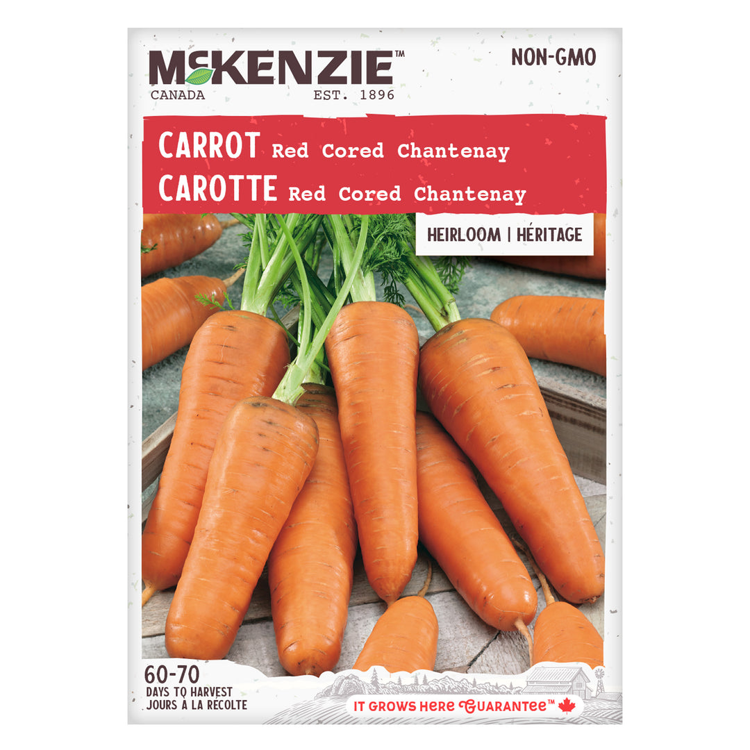 Carrot Red Cored Chantenay - McKenzie Seeds