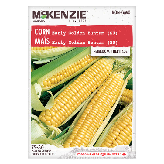 Corn Early Golden Bantam - McKenzie Seeds