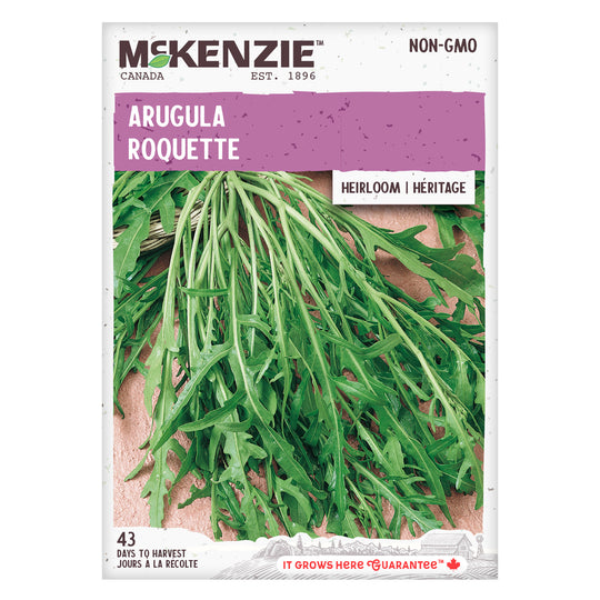 Arugula Roquette - McKenzie Seeds