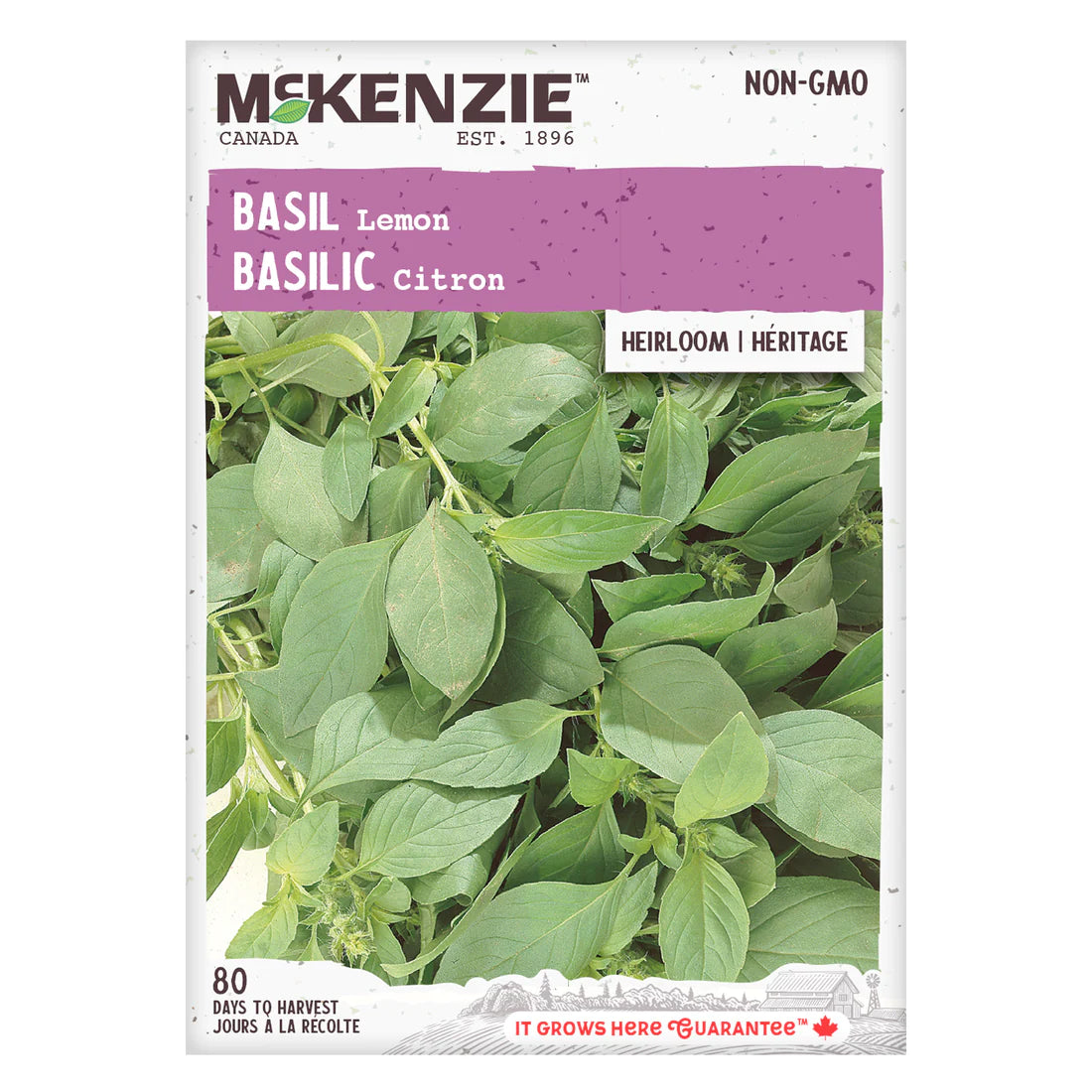 Basil Lemon Heirloom - McKenzie Seeds