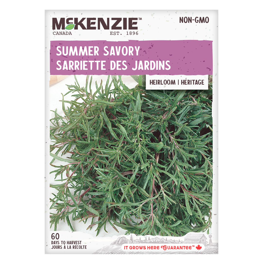 Summer Savory - McKenzie Seeds