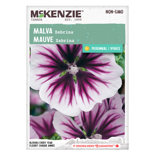 Malva Zebrina - McKenzie Seeds