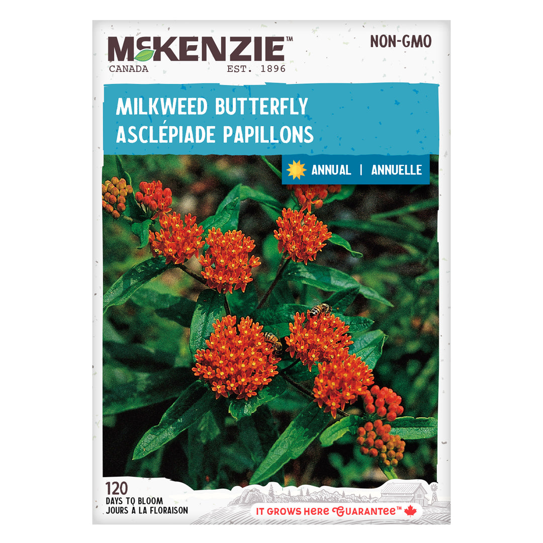 Milkweed Butterfly - McKenzie Seeds