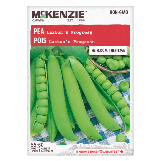 Pea Laxton's Progress - McKenzie Seeds