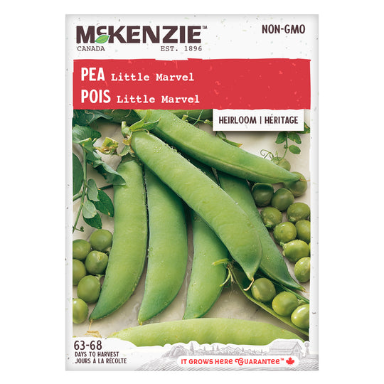 Pea Little Marvel - McKenzie Seeds