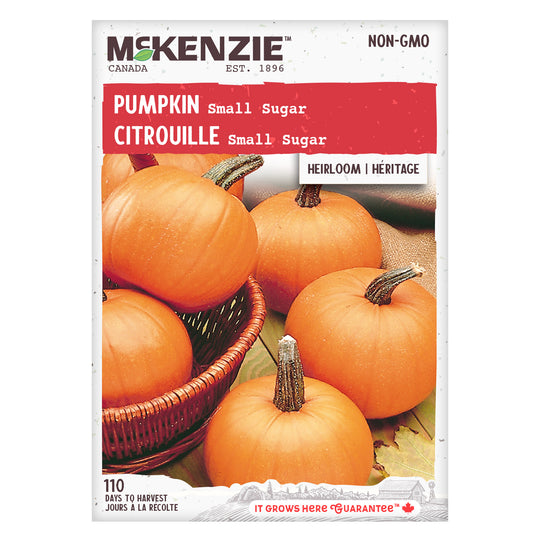 Organic Pumpkin Small Sugar - McKenzie Seeds