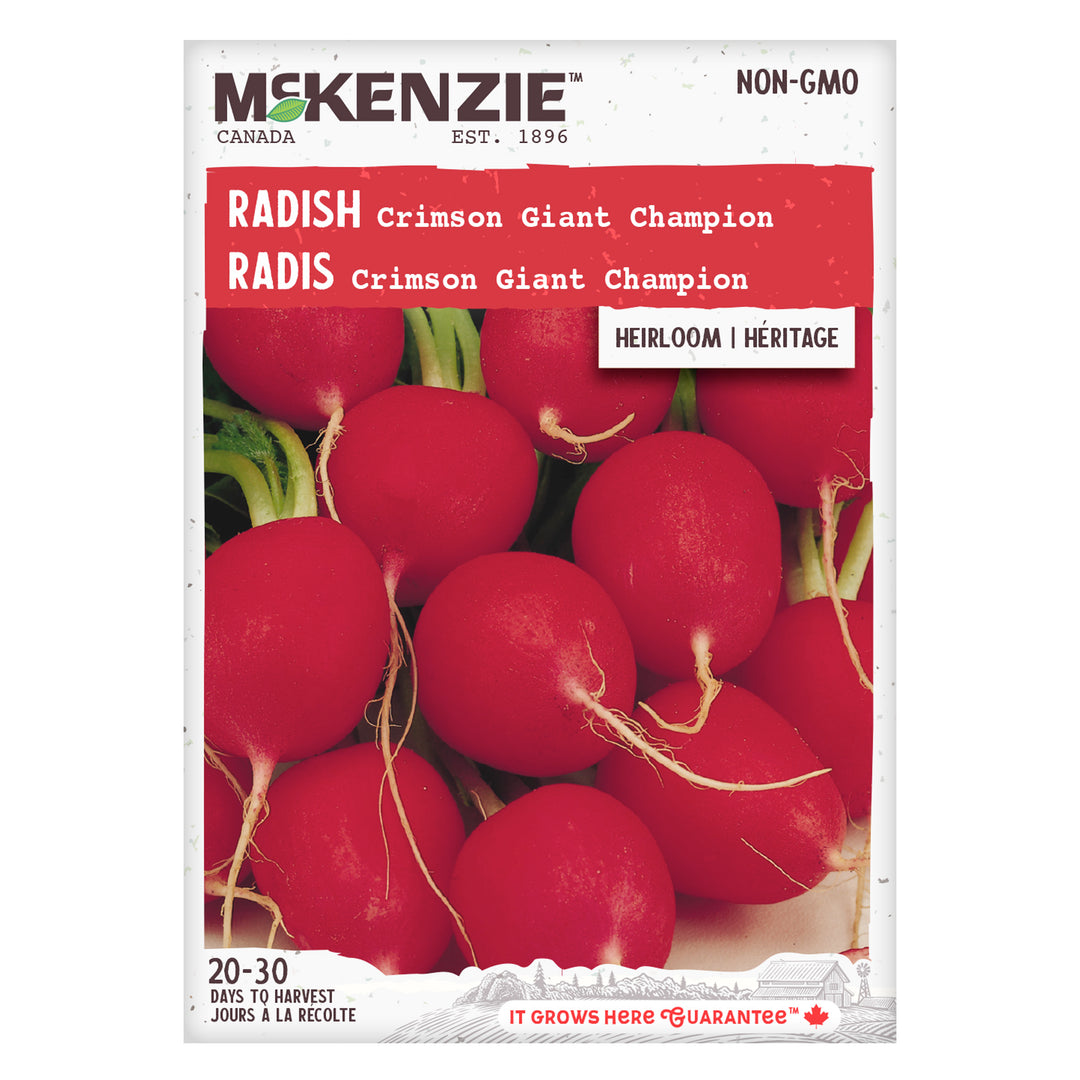 Radish Crimson Giant Champ - McKenzie Seeds