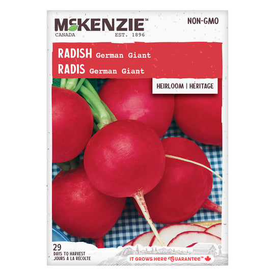 Radish German Giant - McKenzie Seeds