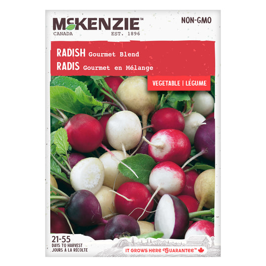 Radish Gourmet Blend - McKenzie Seeds